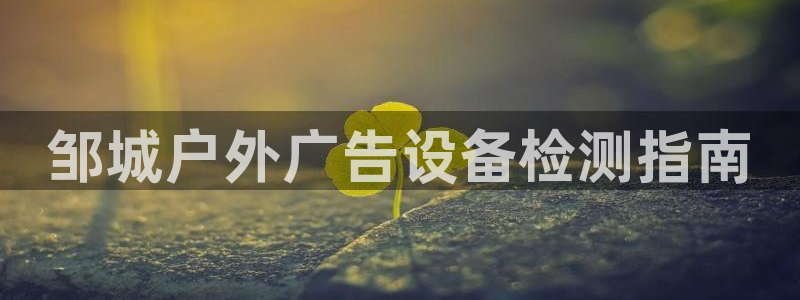 杏宇平台是什么