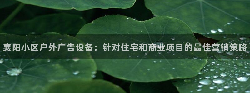 杏宇平台代理多少钱一次
