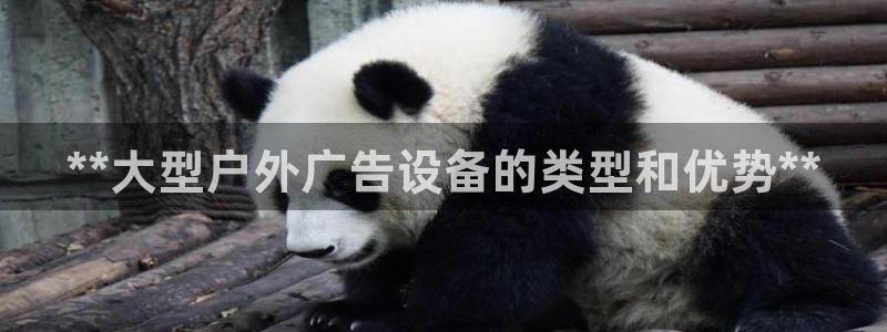 杏宇平台开户