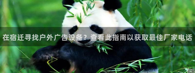 杏宇平台主管