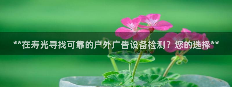 杏宇平台提现为什么这么久呢：**在寿光寻找可靠的户外广告设备检测？您的选择**