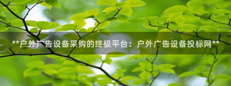 杏宇平台代理怎么样啊：**户外广告设备采购的终极平台：户外广告设备投标网**