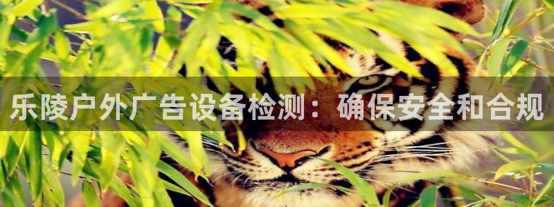杏宇平台总代理是谁：乐陵户外广告设备检测：确保安全和合规