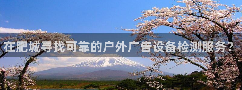 杏宇平台客服：在肥城寻找可靠的户外广告设备检测服务？