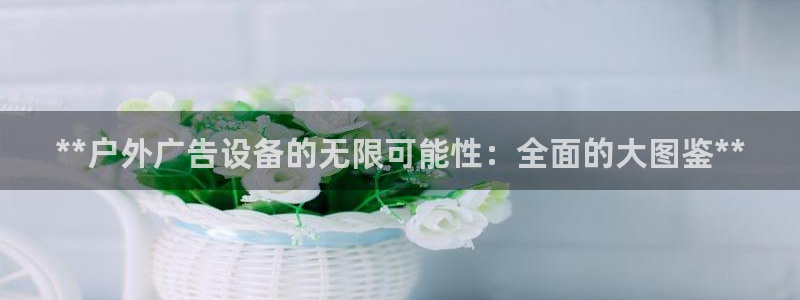 杏宇官方平台官网下载：**户外广告设备的无限可能性：全面的大图鉴**