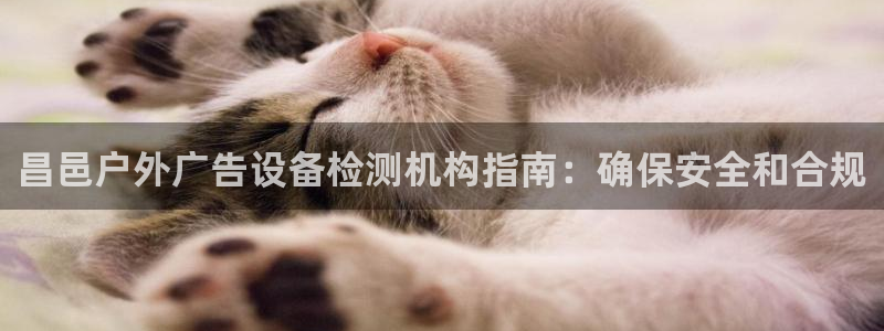 杏宇平台主管：昌邑户外广告设备检测机构指南：确保安全和合规