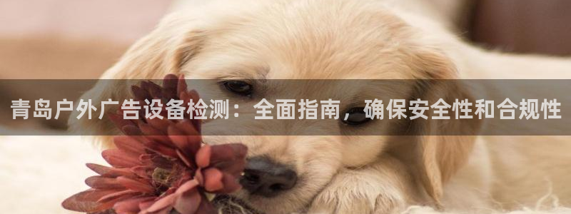 杏宇平台代理：青岛户外广告设备检测：全面指南，确保安全性和合规性