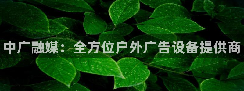 杏宇平台官网注册：中广融媒：全方位户外广告设备提供商