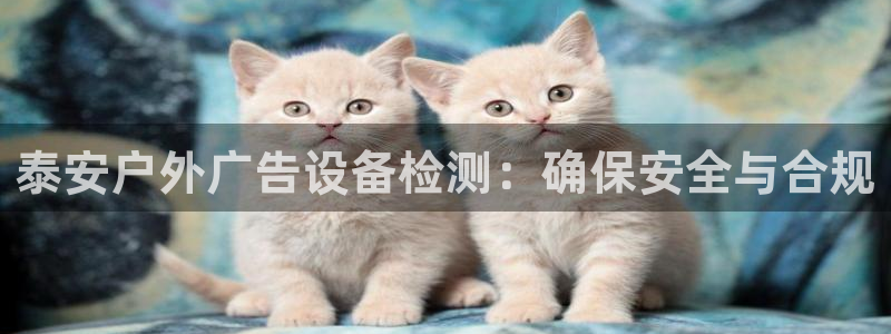 杏宇平台代理怎么样赚钱：泰安户外广告设备检测：确保安全与合规
