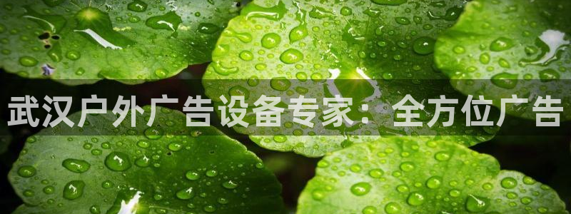 杏宇平台注册地址：武汉户外广告设备专家：全方位广告