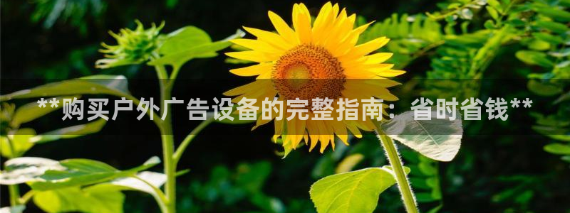 杏宇平台总代理：**购买户外广告设备的完整指南：省时省钱**