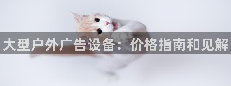 杏宇平台开户：大型户外广告设备：价格指南和见解