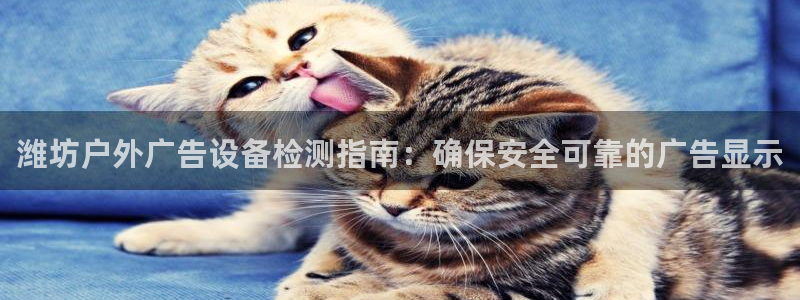 杏宇平台注册地址在哪里：潍坊户外广告设备检测指南：确保安全可靠的广告显示