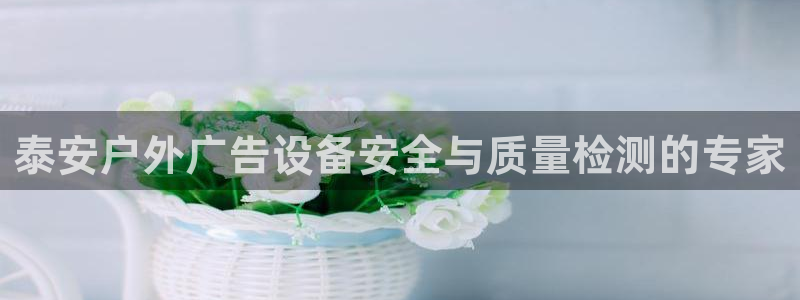 杏宇平台总代理：泰安户外广告设备安全与质量检测的专家