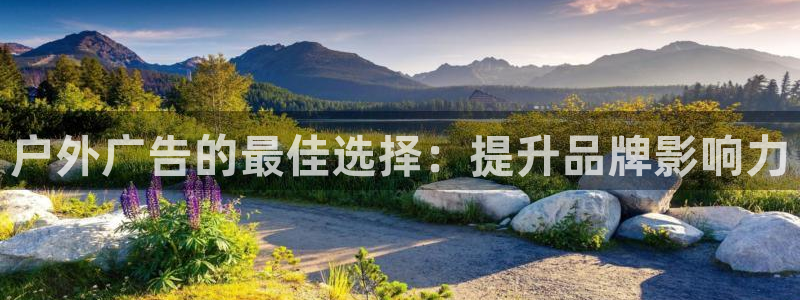 杏宇平台好吗：户外广告的最佳选择：提升品牌影响力