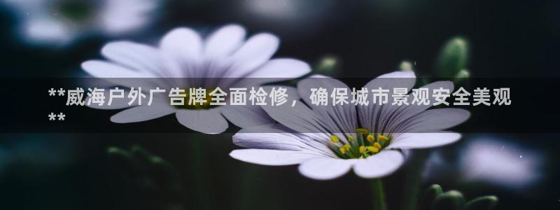 杏宇平台登陆：**威海户外广告牌全面检修，确保城市景观安全美观
**