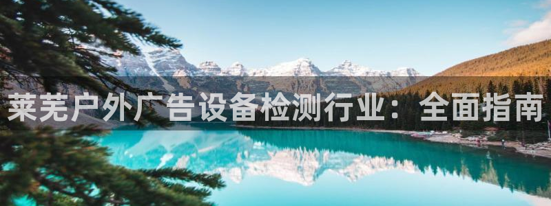 杏宇平台登陆：莱芜户外广告设备检测行业：全面指南