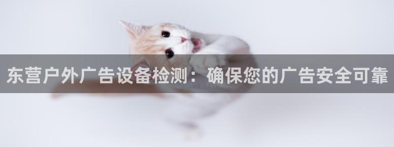 杏宇代理注册：东营户外广告设备检测：确保您的广告安全可靠