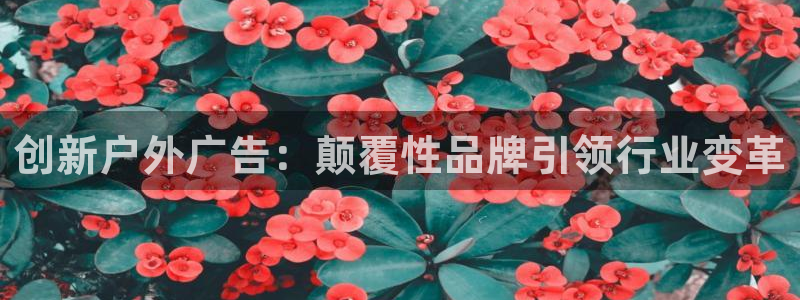 杏宇平台代理多少钱一个：创新户外广告：颠覆性品牌引领行业变革