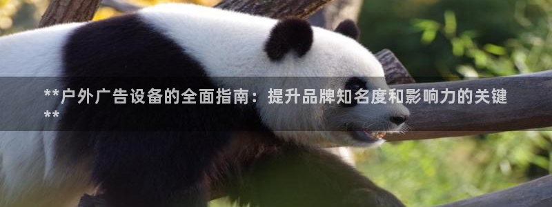 杏宇平台怎么样：**户外广告设备的全面指南：提升品牌知名度和影响力的关键
**