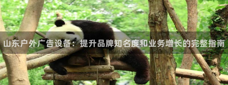 杏宇平台怎么样赚钱：山东户外广告设备：提升品牌知名度和业务增长的完整指南