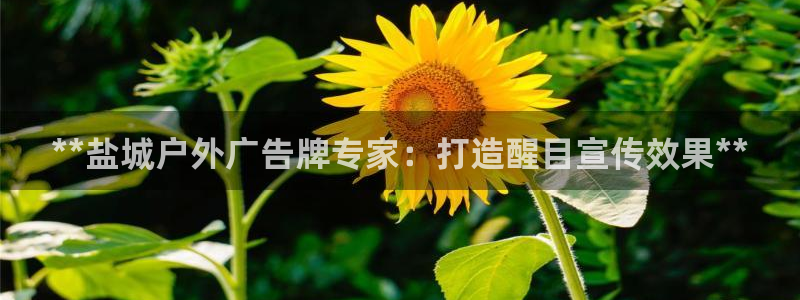 杏宇平台招商电话号码：**盐城户外广告牌专家：打造醒目宣传效果**