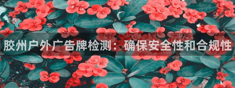 杏宇平台开户：胶州户外广告牌检测：确保安全性和合规性