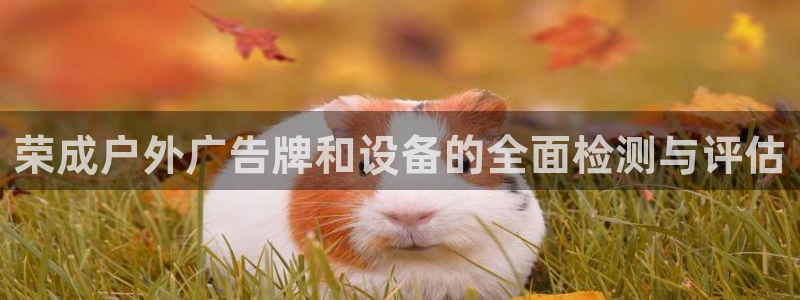 杏宇平台客服：荣成户外广告牌和设备的全面检测与评估