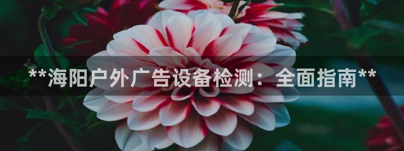 杏宇平台代理多少钱一个：**海阳户外广告设备检测：全面指南**