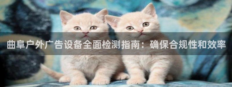 杏宇平台总代理：曲阜户外广告设备全面检测指南：确保合规性和效率
