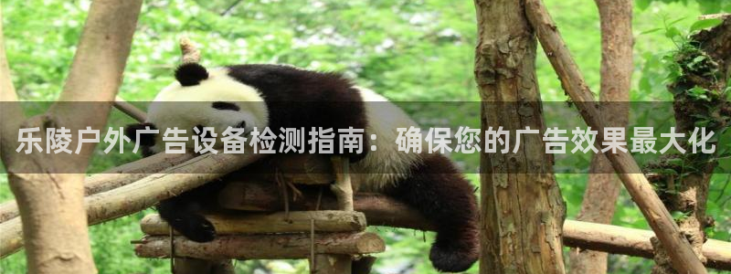 杏宇平台代理多少钱一次：乐陵户外广告设备检测指南：确保您的广告效果最大化