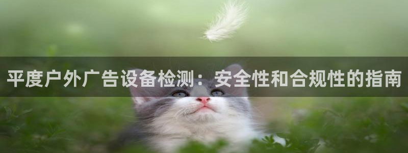 杏宇平台代理怎么样可靠吗