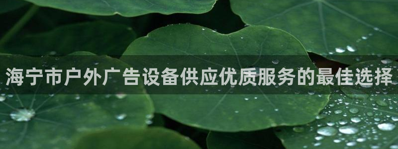 杏宇平台总代理电话：海宁市户外广告设备供应优质服务的最佳选择