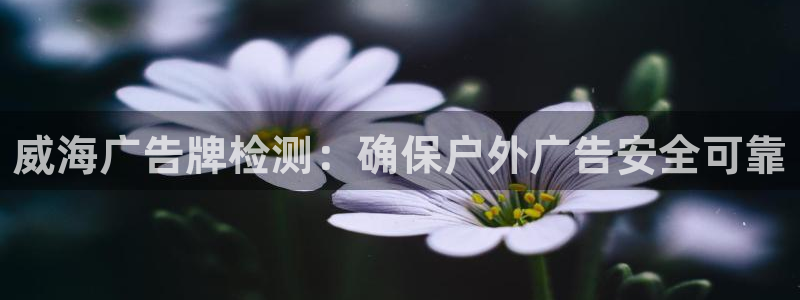 杏宇平台招商电话号码：威海广告牌检测：确保户外广告安全可靠