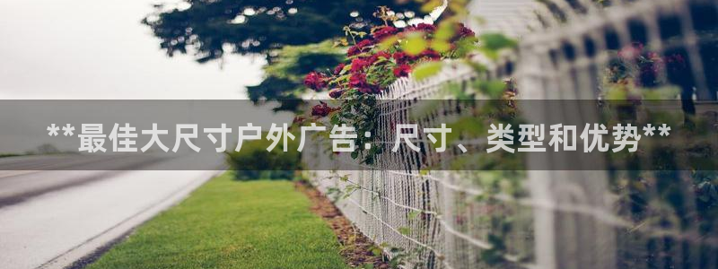 杏宇平台招商电话号码：**最佳大尺寸户外广告：尺寸、类型和优势**
