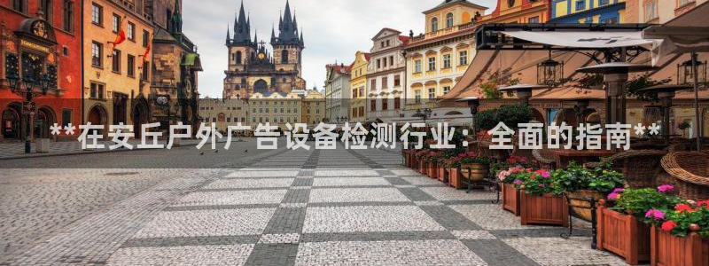 杏宇官方平台官网：**在安丘户外广告设备检测行业：全面的指南**