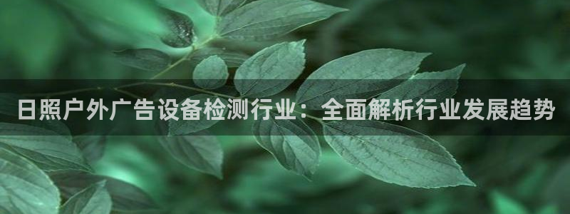 杏宇平台好吗：日照户外广告设备检测行业：全面解析行业发展趋势