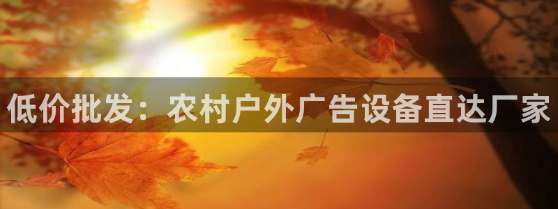 杏宇平台代理怎么赚钱的：低价批发：农村户外广告设备直达厂家