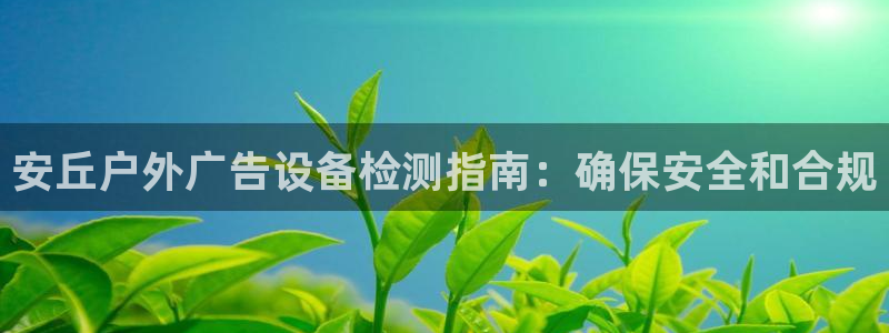 杏宇平台代理怎么赚钱：安丘户外广告设备检测指南：确保安全和合规