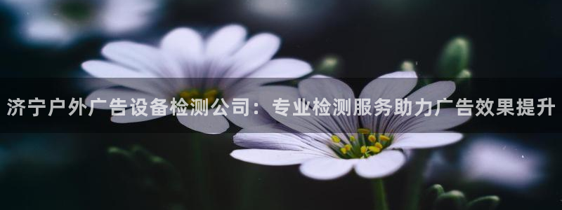 杏宇平台招商怎么样：济宁户外广告设备检测公司：专业检测服务助力广告效果提升
