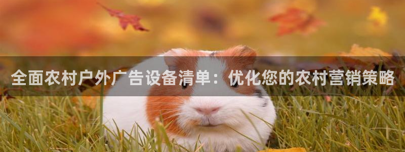 杏宇平台客服：全面农村户外广告设备清单：优化您的农村营销策略