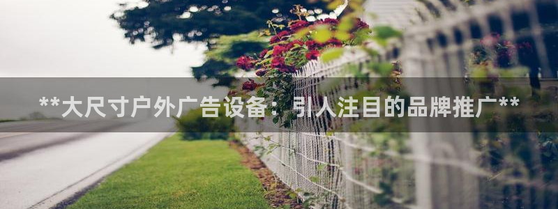 杏宇平台怎么样知乎：**大尺寸户外广告设备：引人注目的品牌推广**