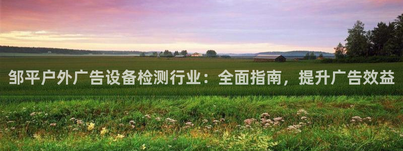 杏宇平台提现为什么这么久呢：邹平户外广告设备检测行业：全面指南，提升广告效益