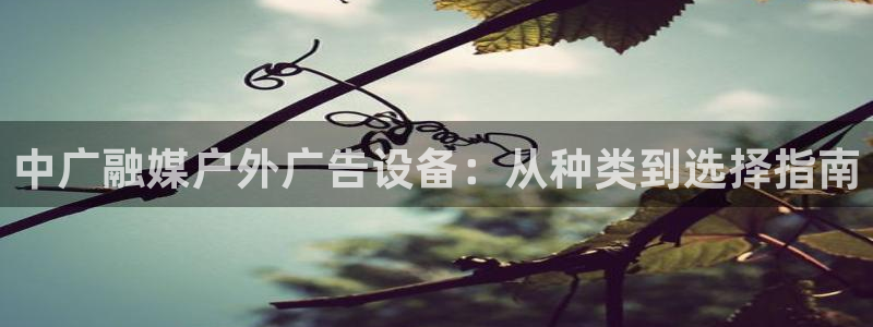 杏宇平台提现为什么这么久呢：中广融媒户外广告设备：从种类到选择指南
