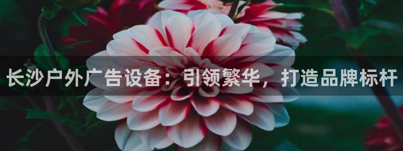 杏宇平台登录步骤是什么：长沙户外广告设备：引领繁华，打造品牌标杆