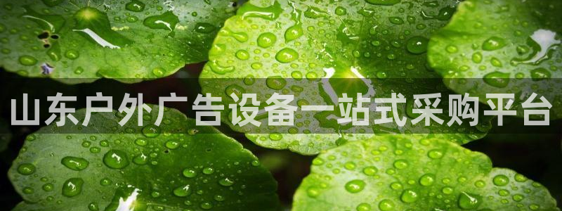 杏宇平台登录步骤图：山东户外广告设备一站式采购平台