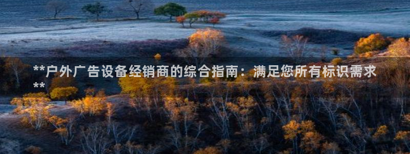 杏宇平台总代理电话：**户外广告设备经销商的综合指南：满足您所有标识需求
**