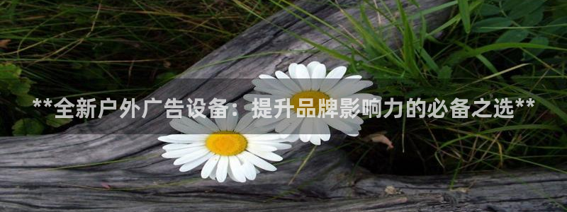 杏宇平台代理多少钱一次：**全新户外广告设备：提升品牌影响力的必备之选**