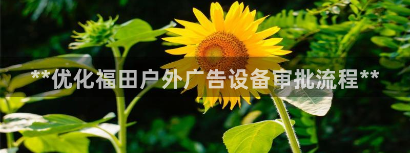 杏宇平台代理怎么样赚钱：**优化福田户外