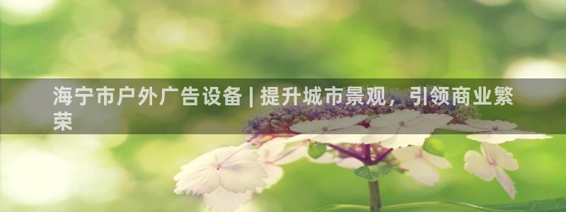 杏宇平台代理怎么样：海宁市户外广告设备 | 提升城市景观，引领商业繁
荣